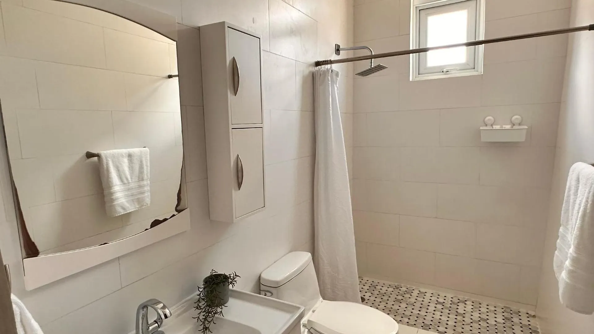 1120 Vieques By Stay With Bear San Juan Puerto Rico